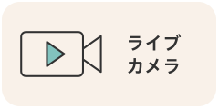 ライブカメラ)
