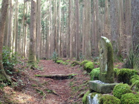 熊野参詣道大雲取越の写真