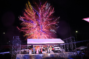 小口おもしろプレイランド　写真２