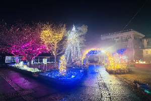 タウンガーデン点灯式  写真2