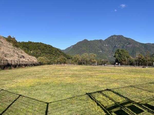 広場の写真