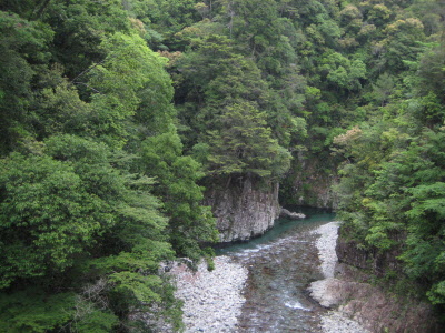 和田川の写真