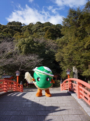 めはりさんの写真８