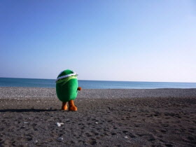 めはりさん壁紙の写真