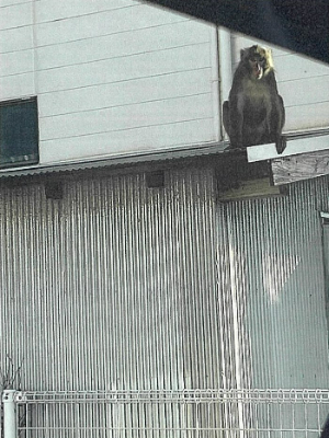 下田児童館付近