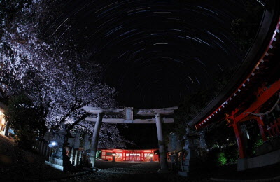 星空の阿須賀神社の写真