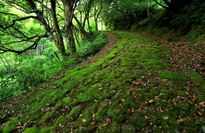 悠久の石畳の写真