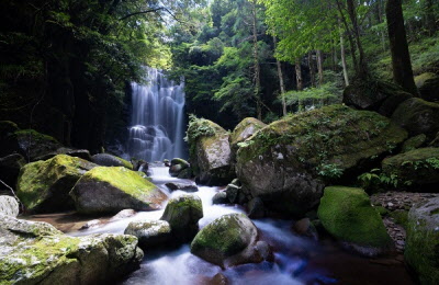 桑ノ木の滝～神秘～の写真