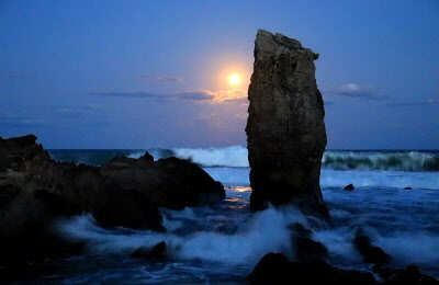 月あかりの鈴島の写真