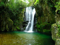 緑の中の美瀑の写真