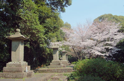 桜咲く水野家墓所の写真