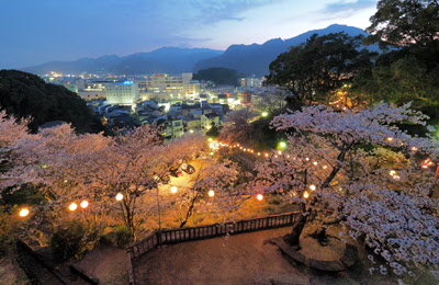 新宮夜桜の写真