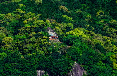 新緑の神倉山の写真