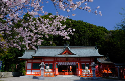阿須賀神社の春の写真