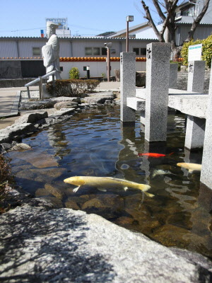 不老の池の写真