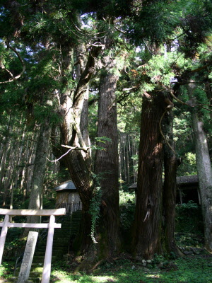 甲明神社の写真