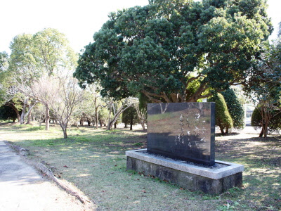 黒潮公園の写真