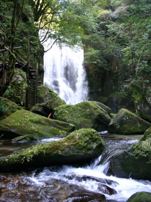 桑ノ木の滝の写真
