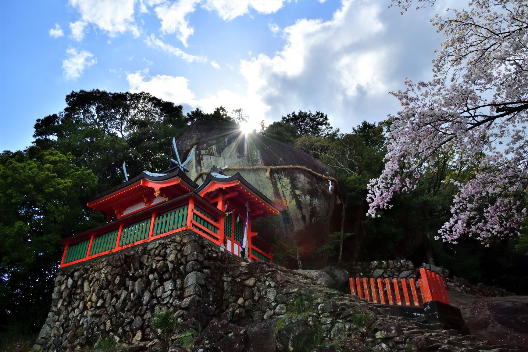 春陽麗和の画像