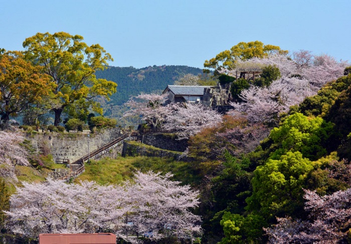 丹鶴城跡の春の画像