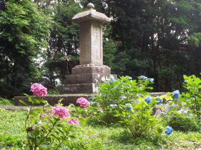 あじさい咲く水野家墓所の写真