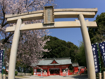 春の阿須賀神社の画像