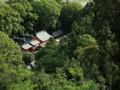 神宿る鎮守の杜の画像