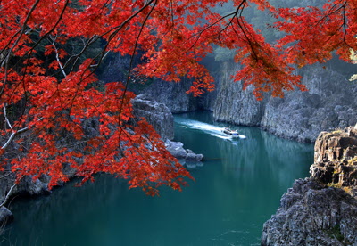 晩秋の瀞峡の写真