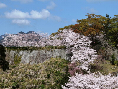 お城山を仰ぐの写真