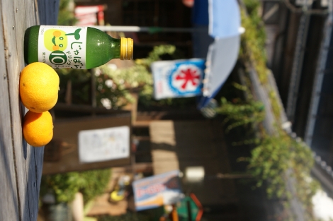 alt=