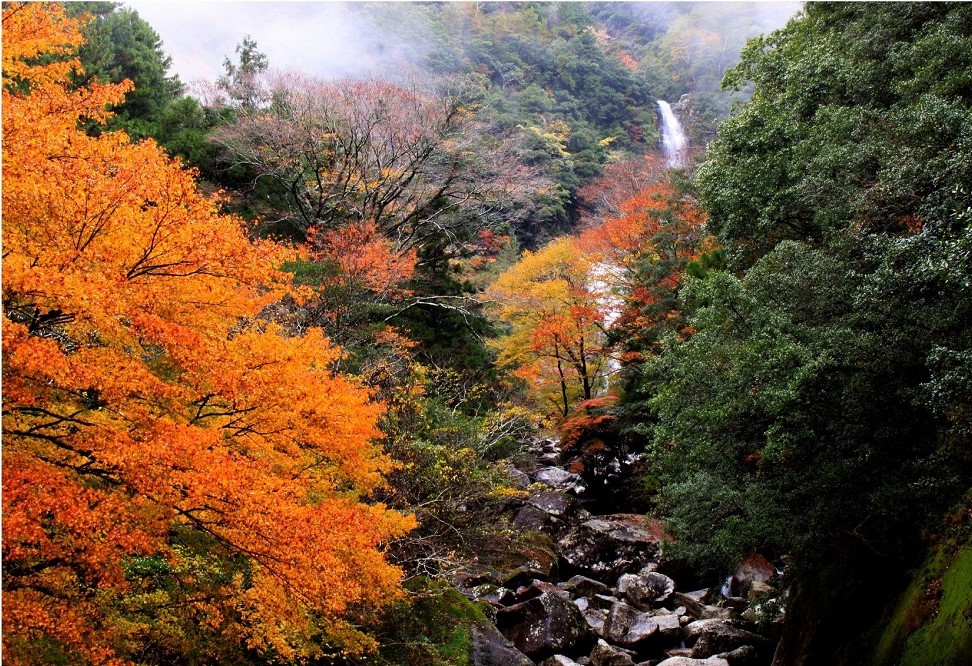 晩秋の鼻白の滝の画像